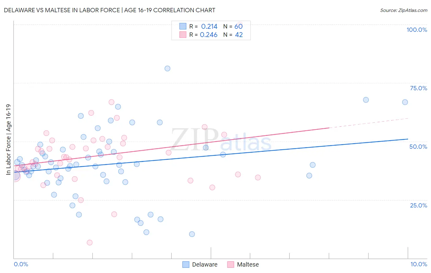 Delaware vs Maltese In Labor Force | Age 16-19