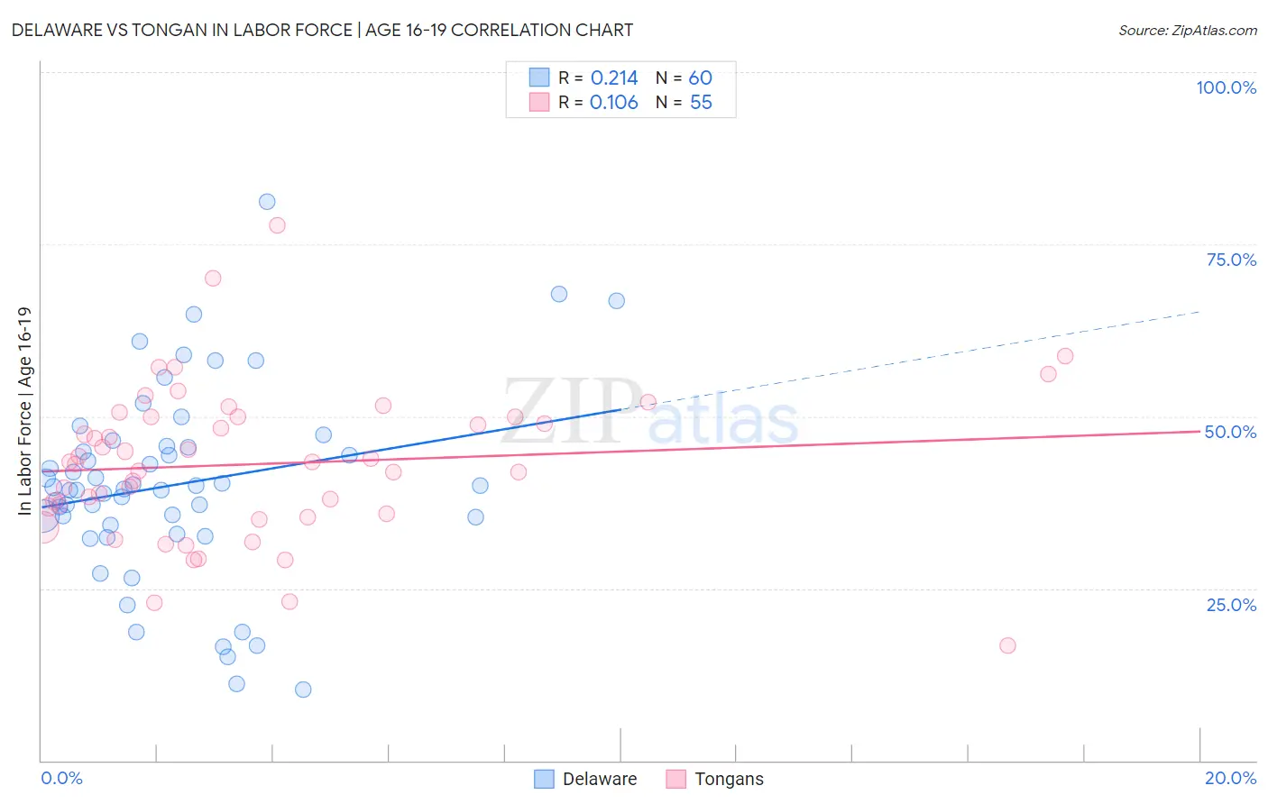 Delaware vs Tongan In Labor Force | Age 16-19