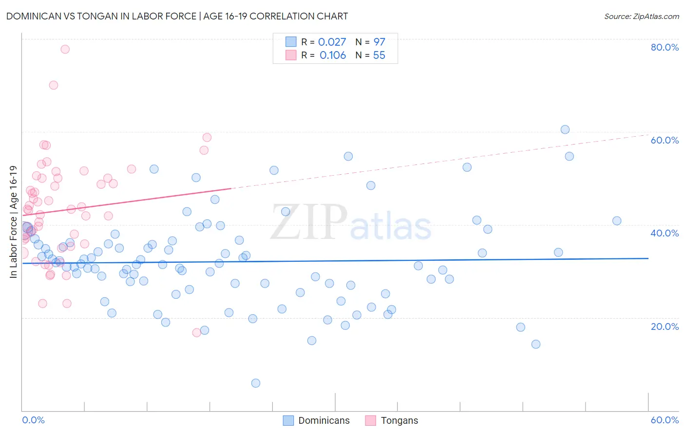 Dominican vs Tongan In Labor Force | Age 16-19