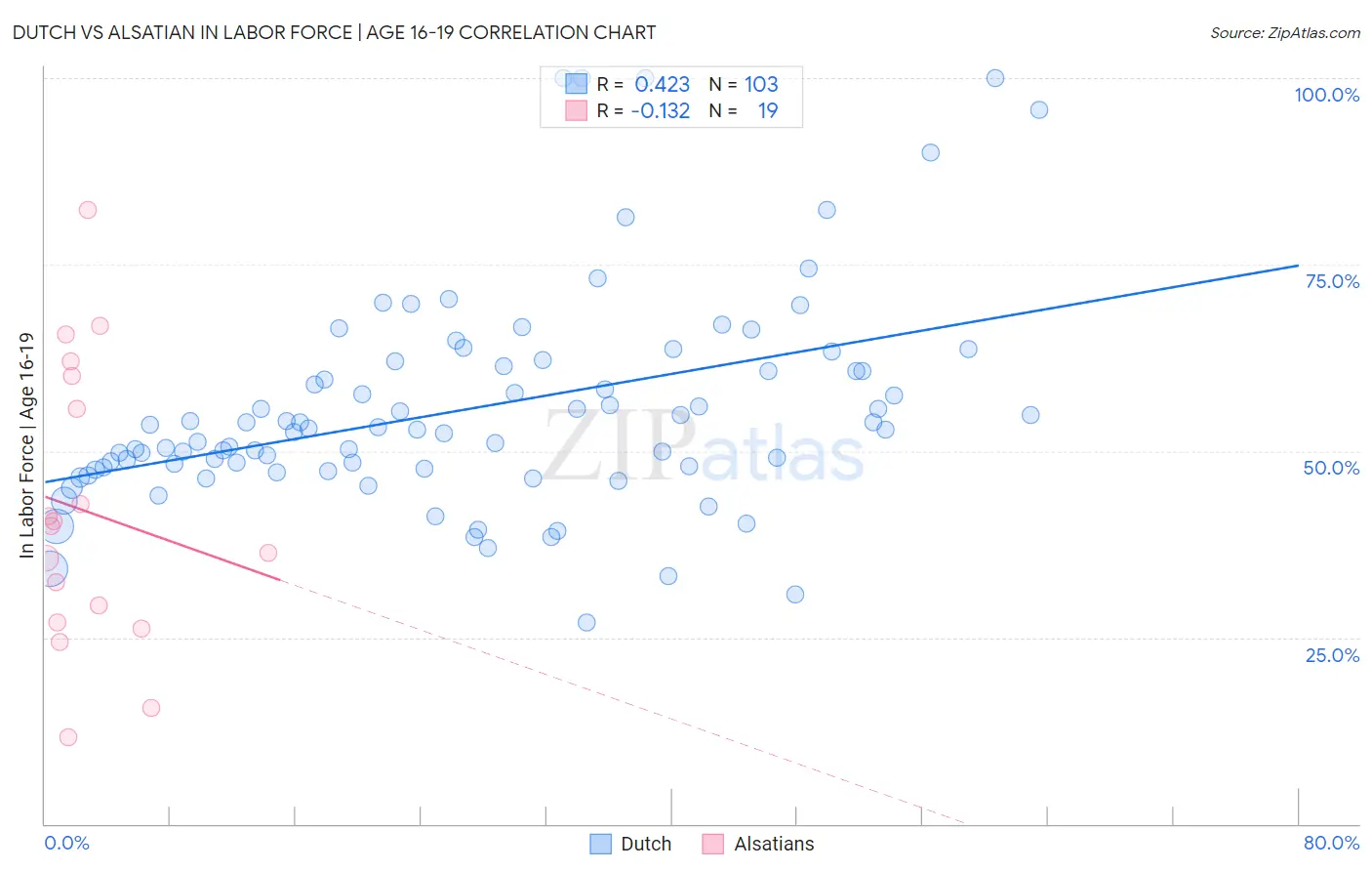Dutch vs Alsatian In Labor Force | Age 16-19