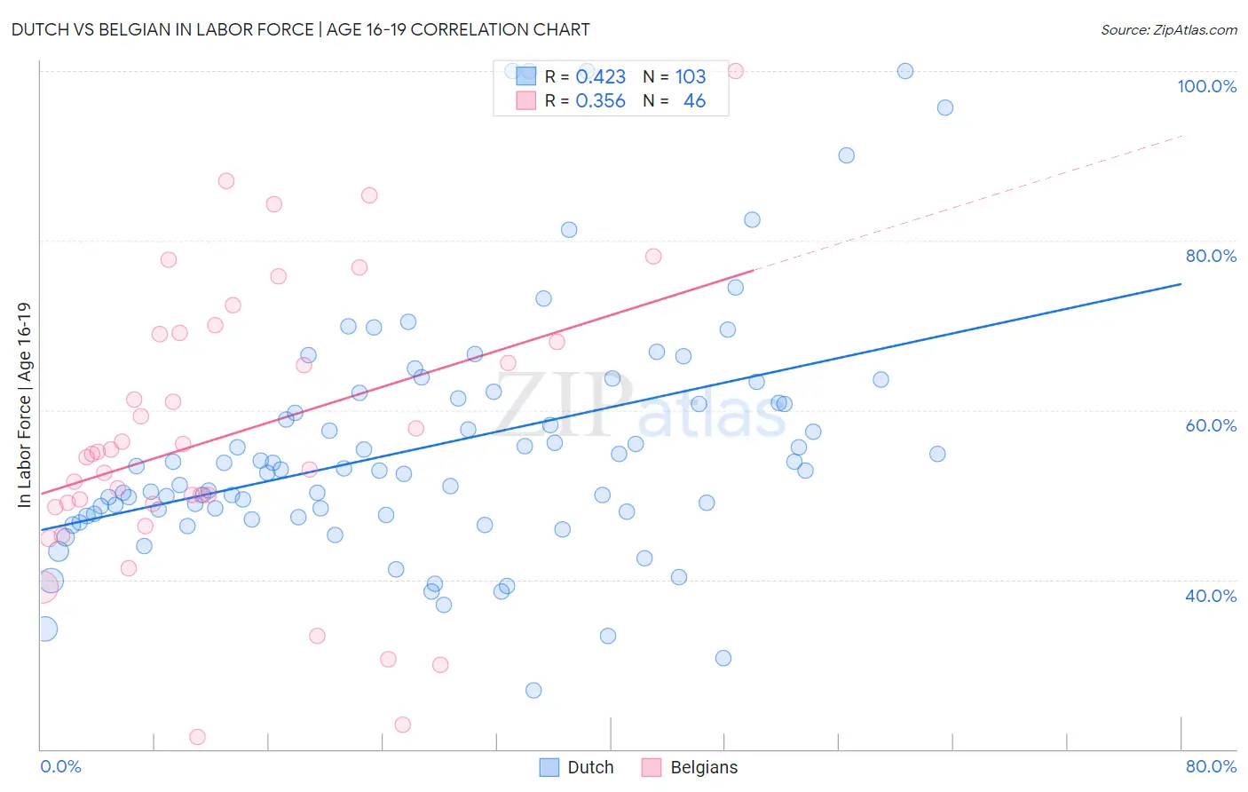 Dutch vs Belgian In Labor Force | Age 16-19