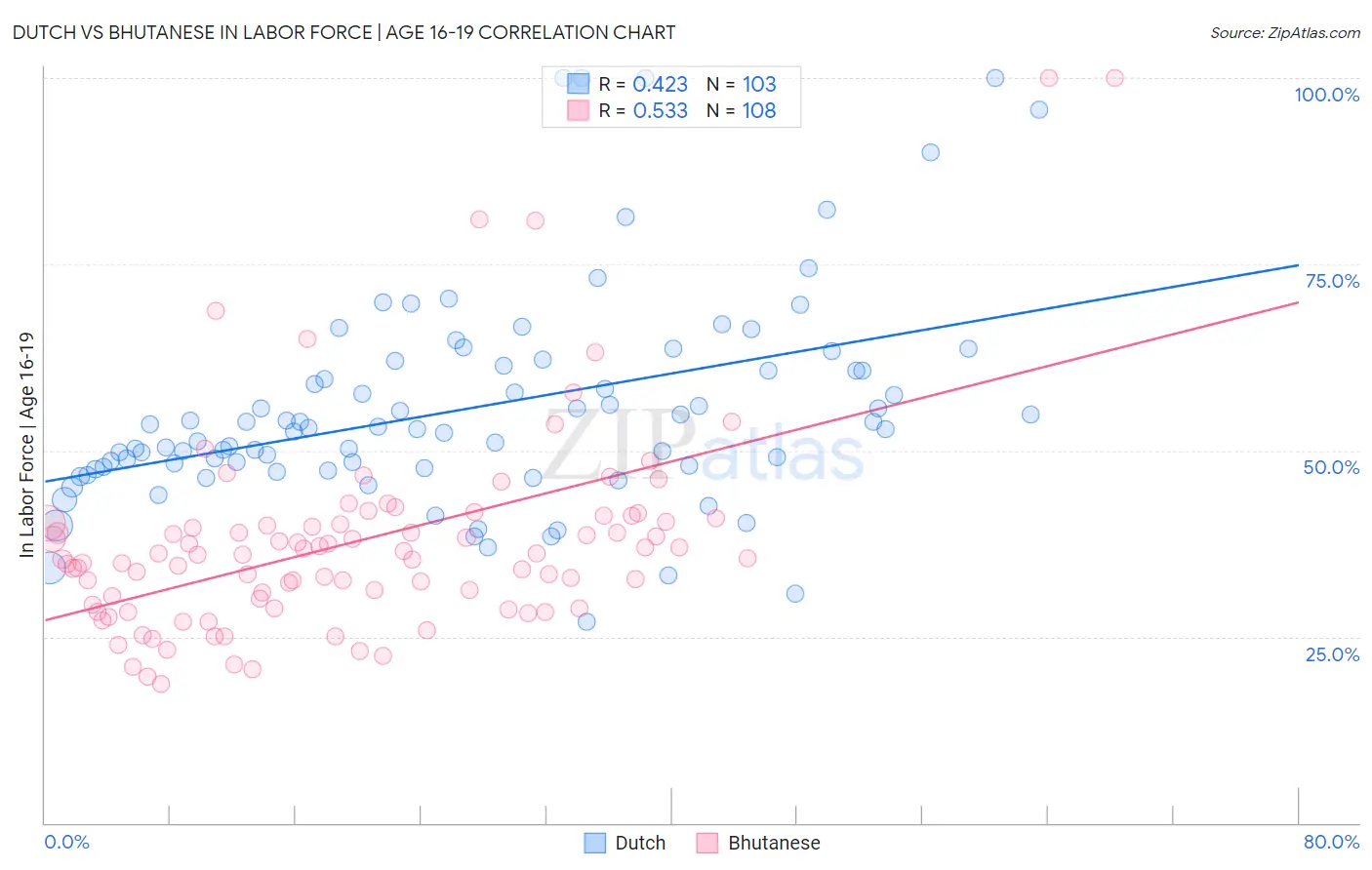 Dutch vs Bhutanese In Labor Force | Age 16-19