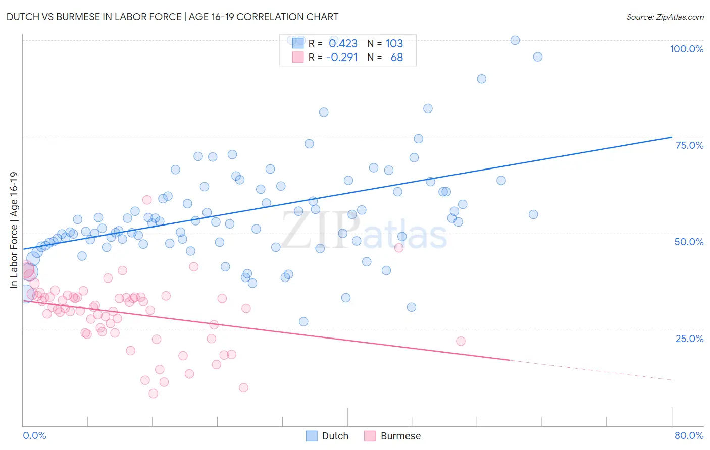 Dutch vs Burmese In Labor Force | Age 16-19