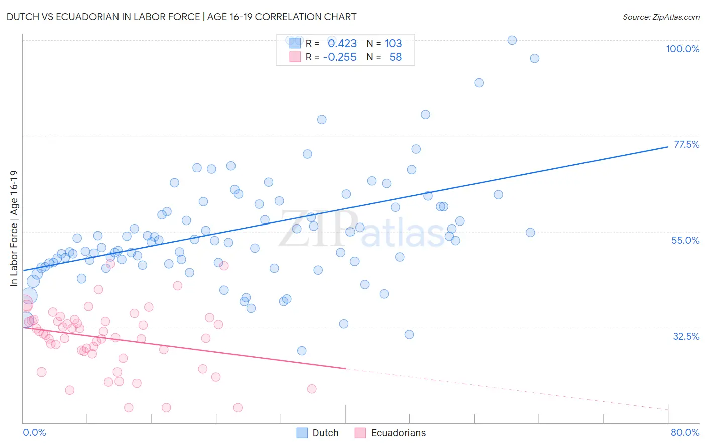 Dutch vs Ecuadorian In Labor Force | Age 16-19