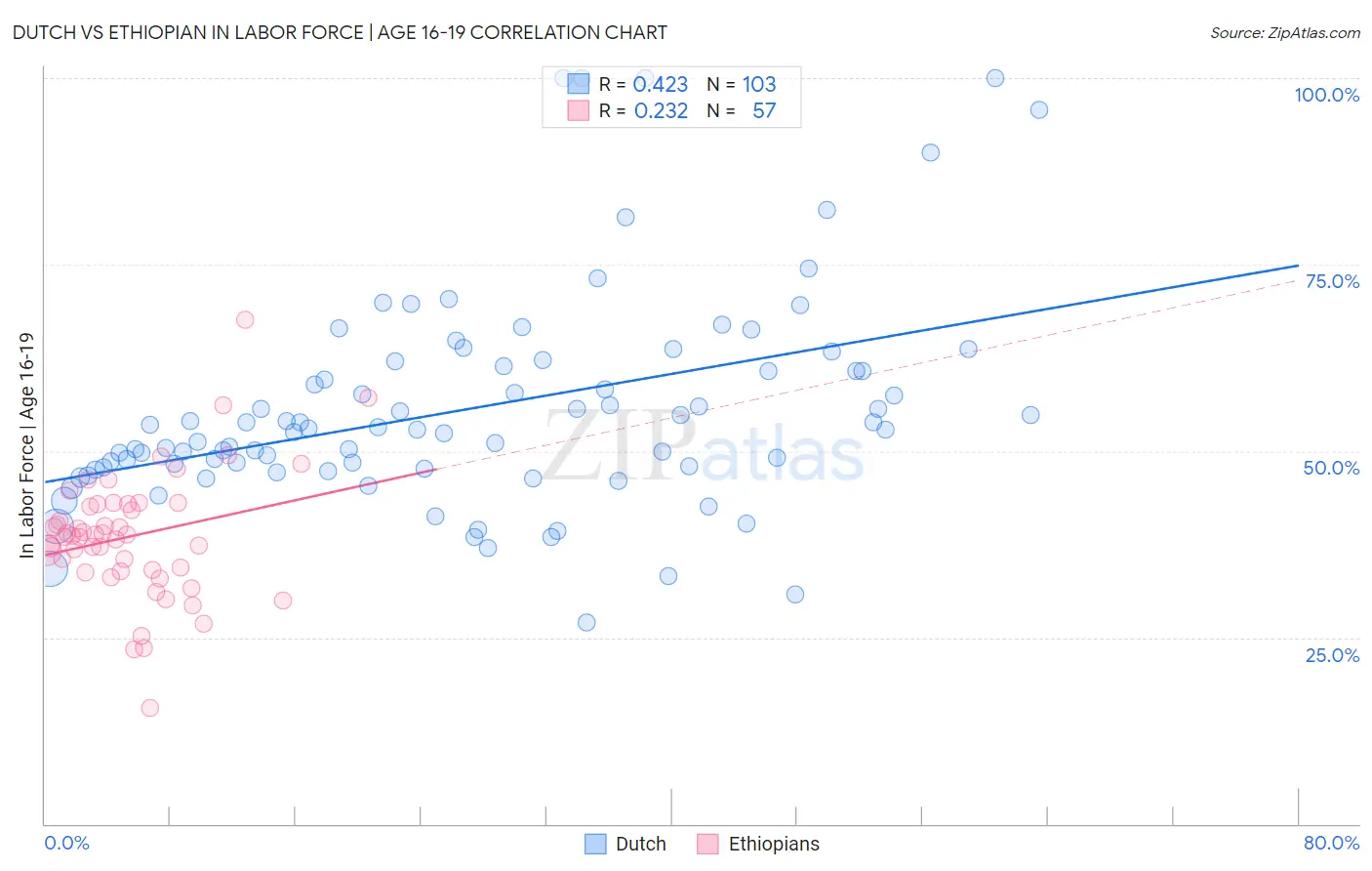 Dutch vs Ethiopian In Labor Force | Age 16-19
