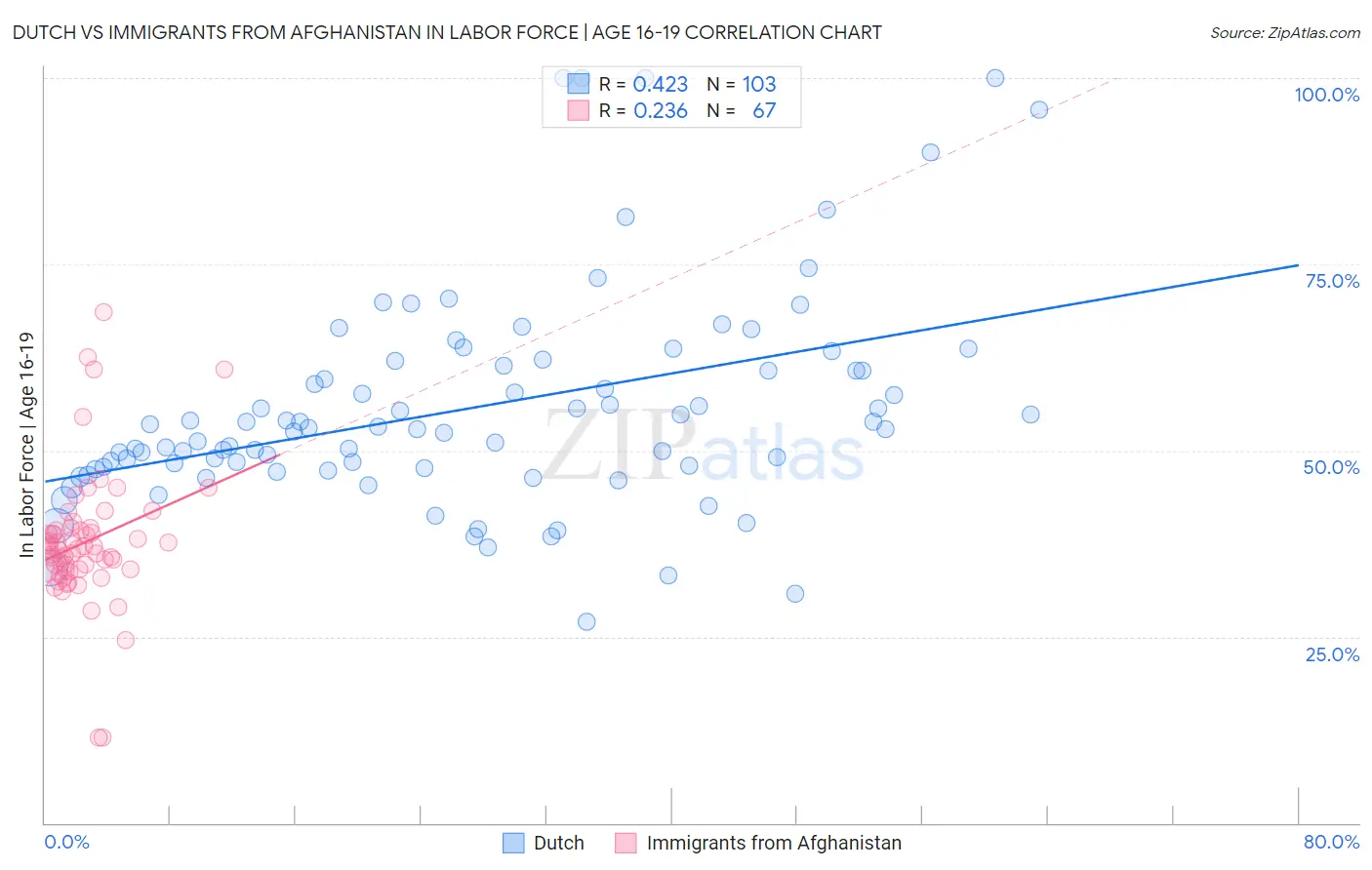 Dutch vs Immigrants from Afghanistan In Labor Force | Age 16-19