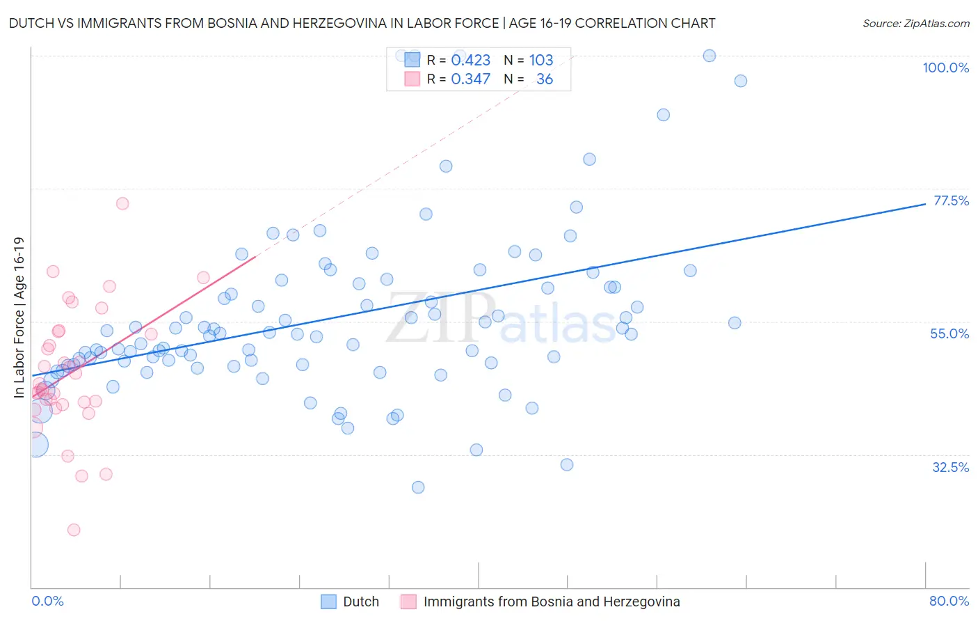 Dutch vs Immigrants from Bosnia and Herzegovina In Labor Force | Age 16-19