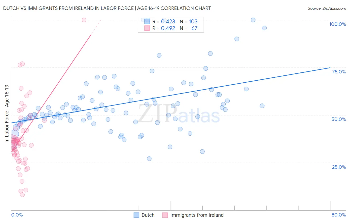 Dutch vs Immigrants from Ireland In Labor Force | Age 16-19