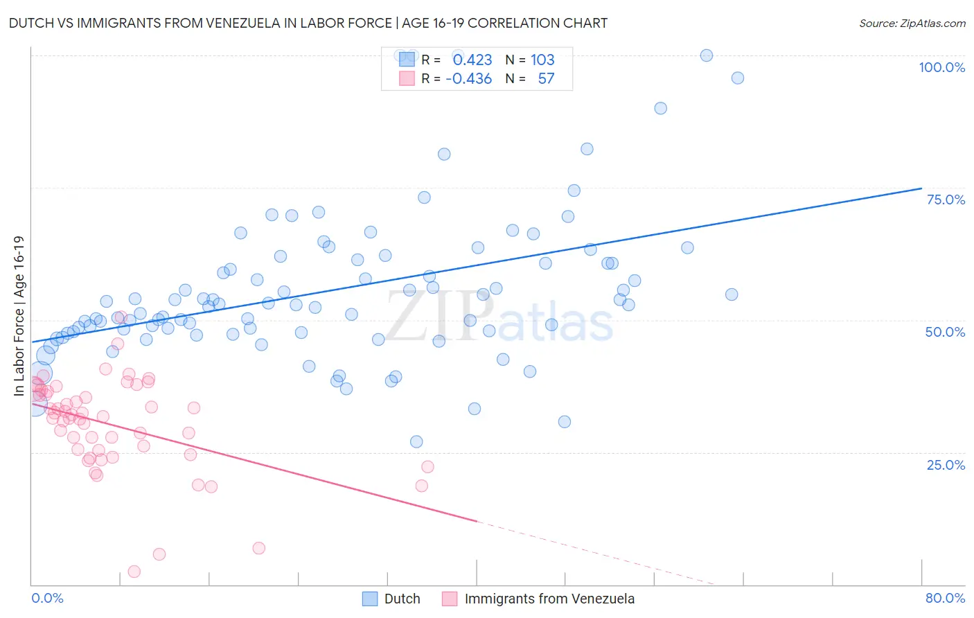 Dutch vs Immigrants from Venezuela In Labor Force | Age 16-19