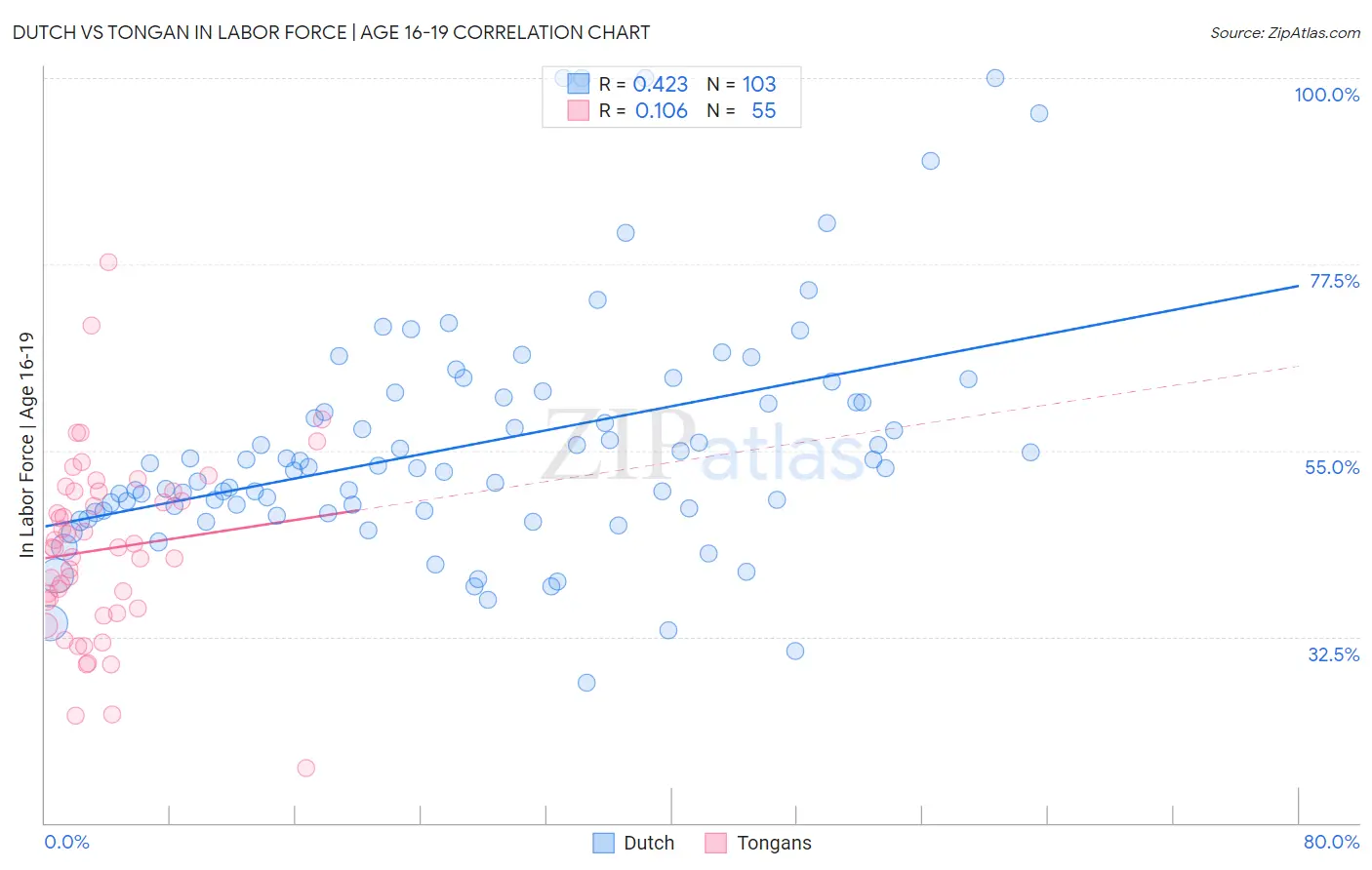 Dutch vs Tongan In Labor Force | Age 16-19
