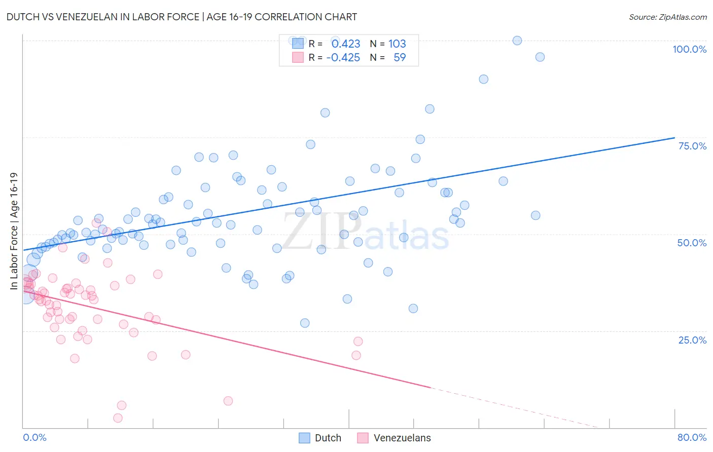 Dutch vs Venezuelan In Labor Force | Age 16-19