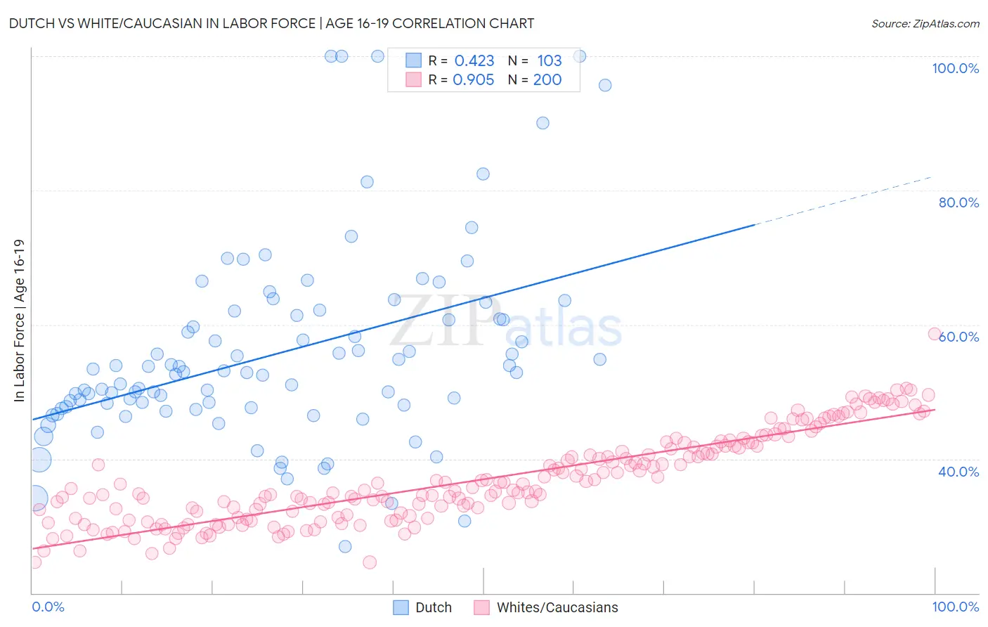 Dutch vs White/Caucasian In Labor Force | Age 16-19