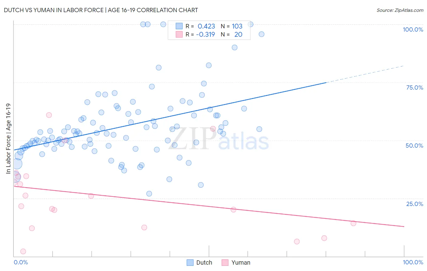 Dutch vs Yuman In Labor Force | Age 16-19