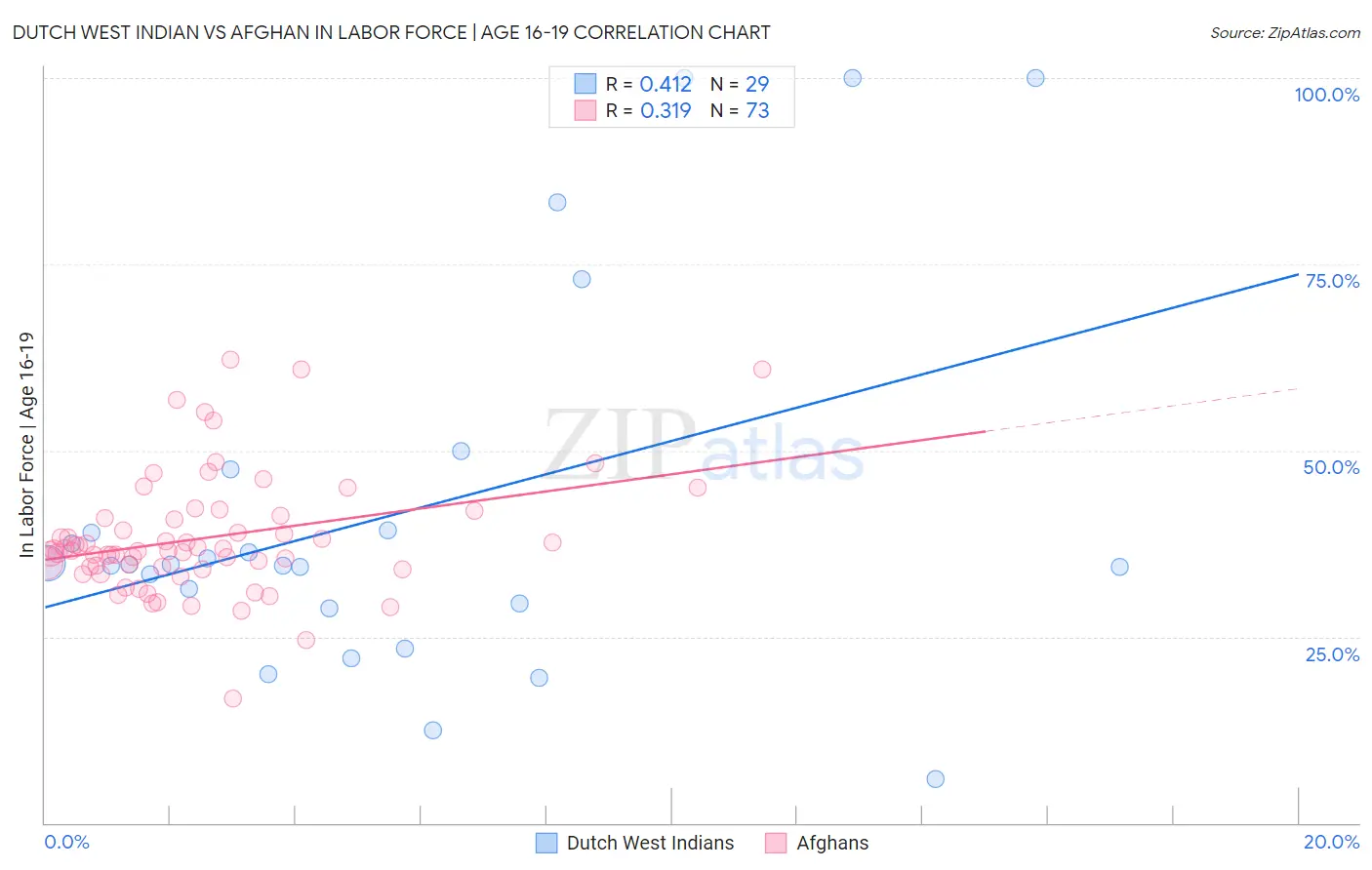 Dutch West Indian vs Afghan In Labor Force | Age 16-19