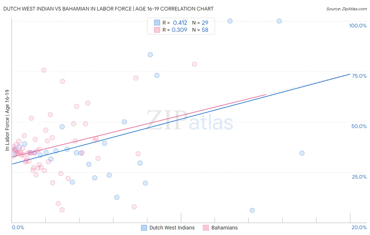 Dutch West Indian vs Bahamian In Labor Force | Age 16-19