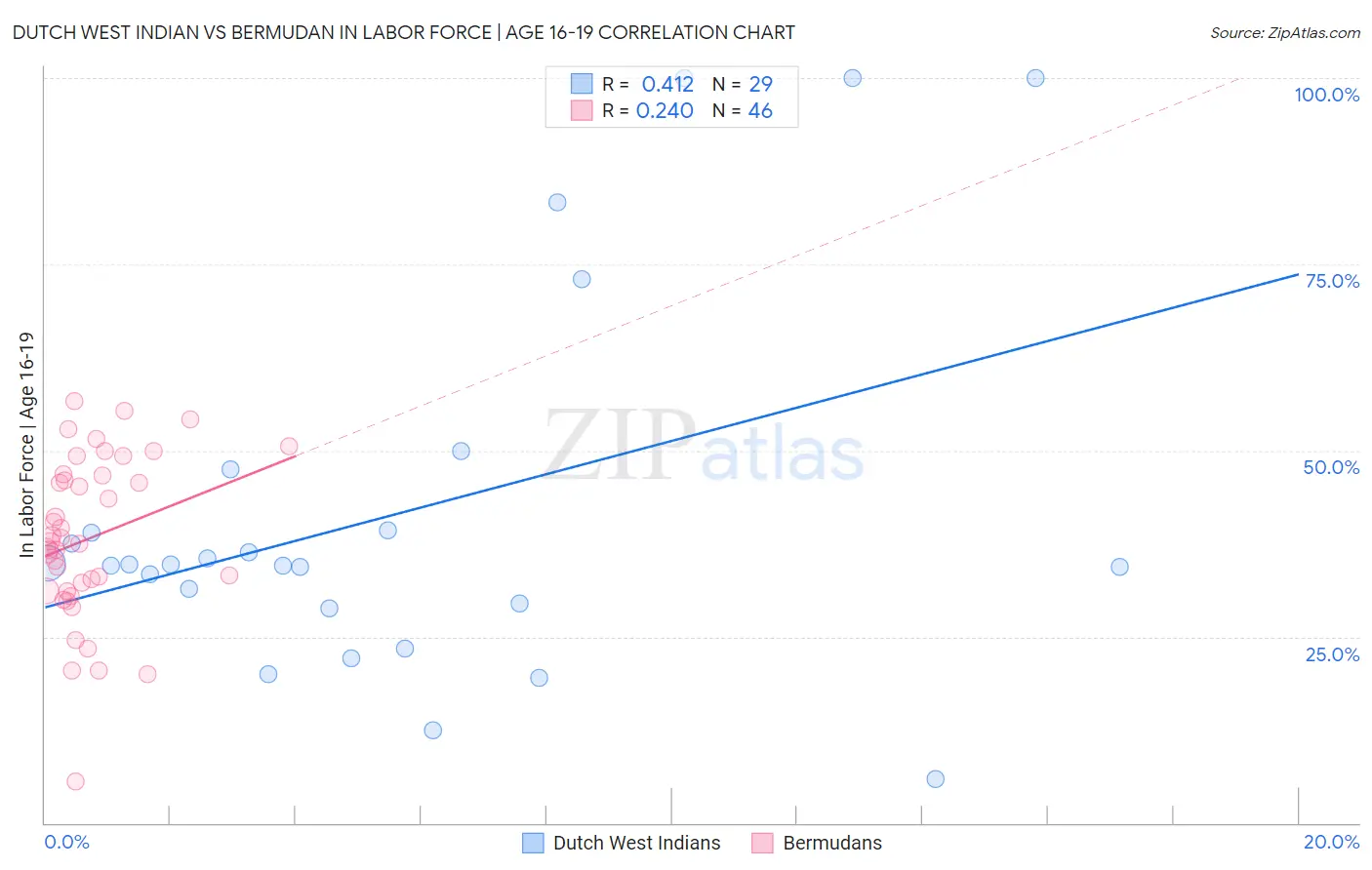 Dutch West Indian vs Bermudan In Labor Force | Age 16-19