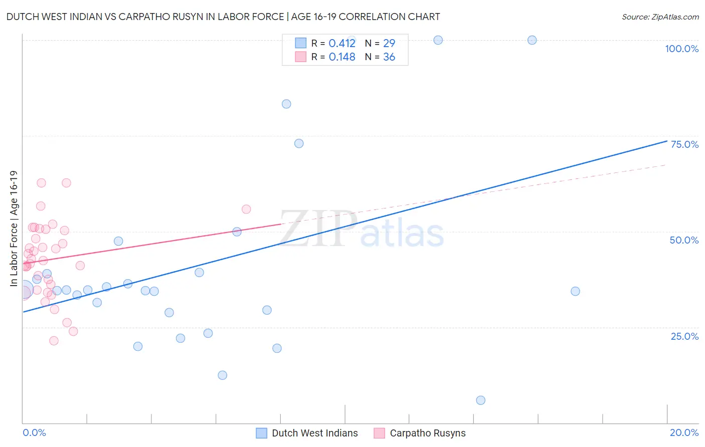 Dutch West Indian vs Carpatho Rusyn In Labor Force | Age 16-19
