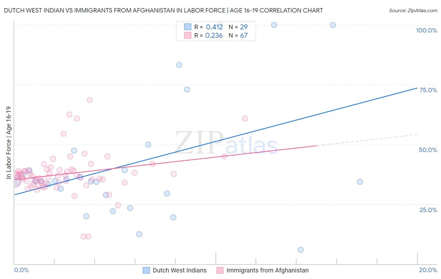 Dutch West Indian vs Immigrants from Afghanistan In Labor Force | Age 16-19