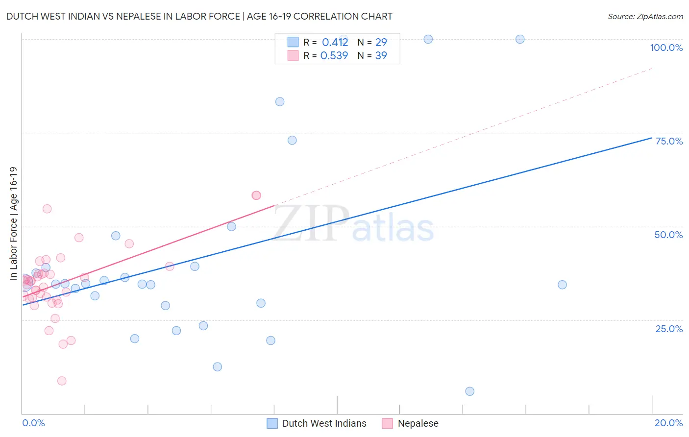 Dutch West Indian vs Nepalese In Labor Force | Age 16-19