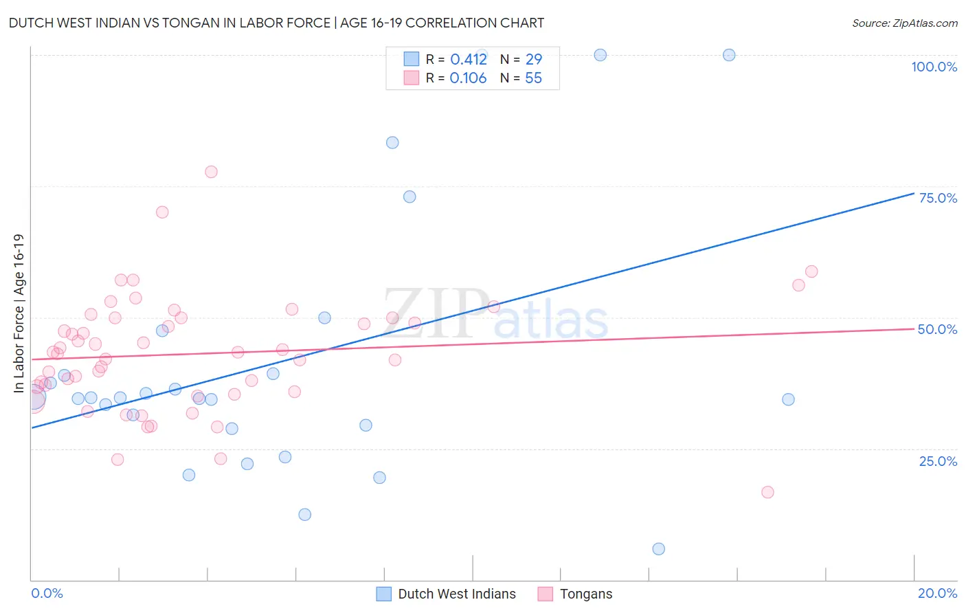 Dutch West Indian vs Tongan In Labor Force | Age 16-19