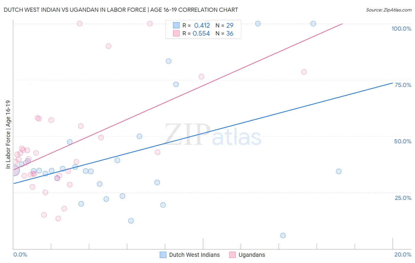 Dutch West Indian vs Ugandan In Labor Force | Age 16-19