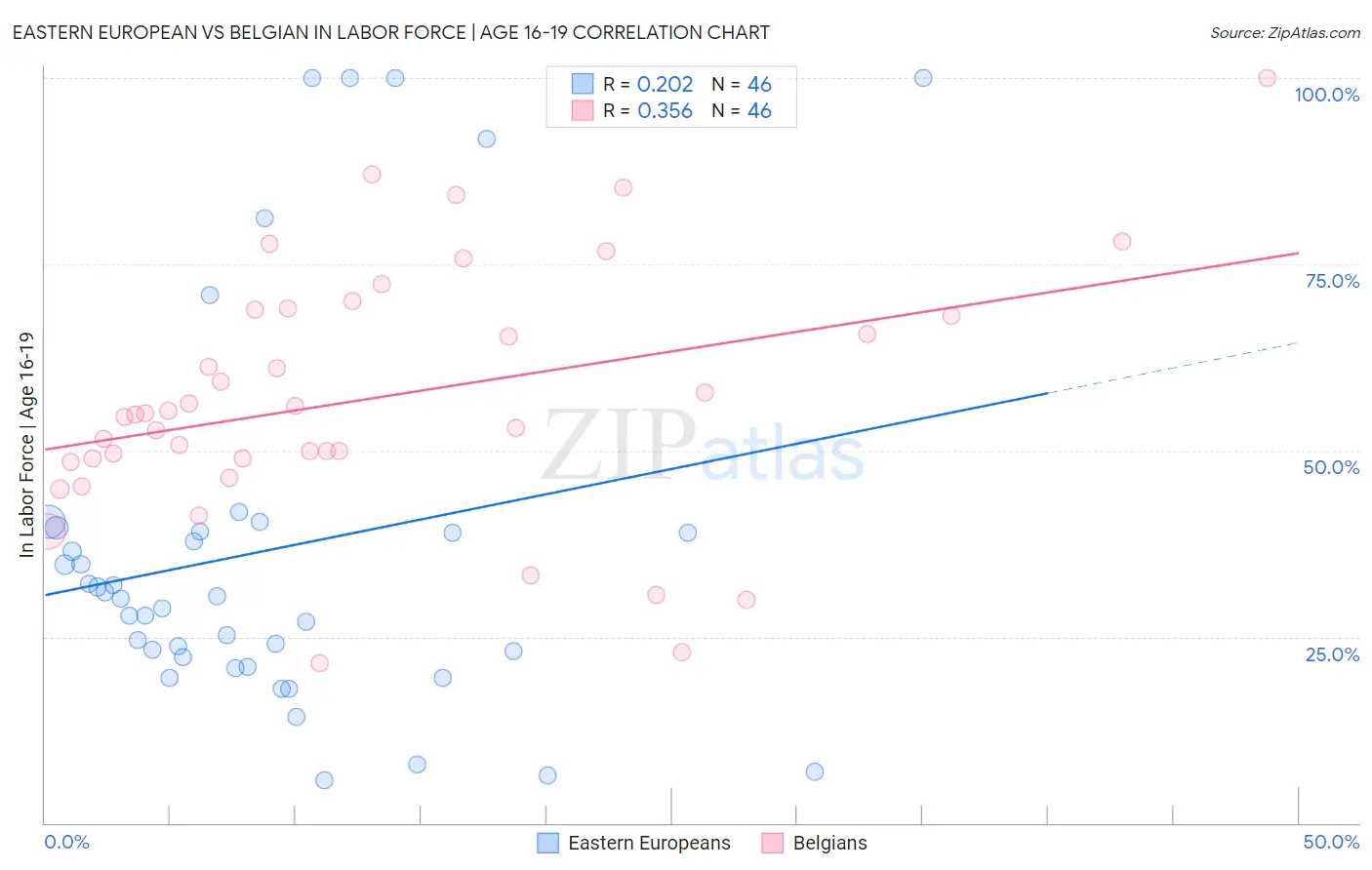 Eastern European vs Belgian In Labor Force | Age 16-19