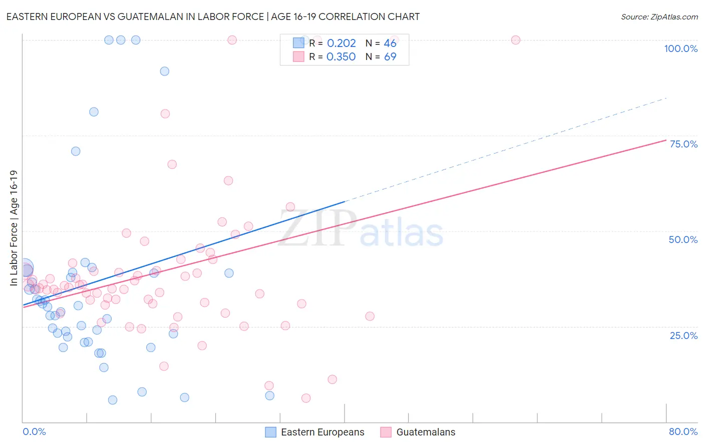 Eastern European vs Guatemalan In Labor Force | Age 16-19