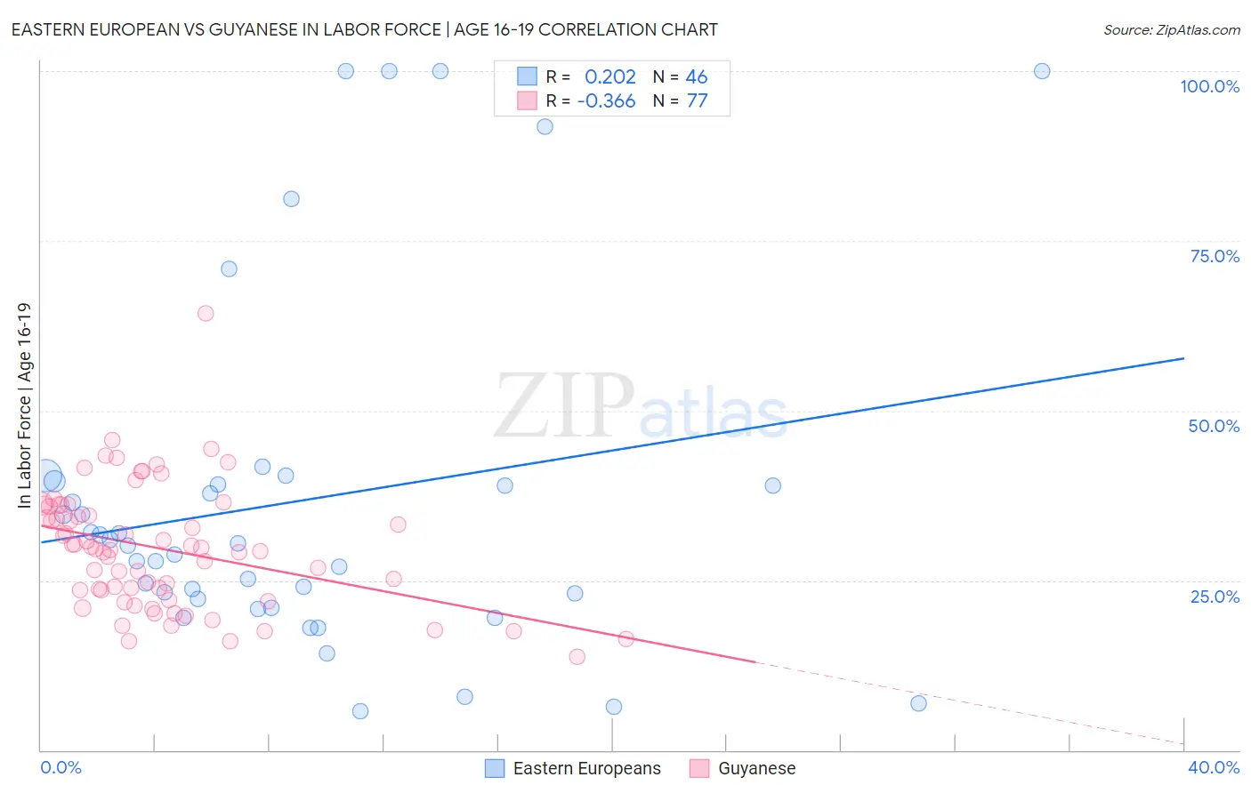 Eastern European vs Guyanese In Labor Force | Age 16-19