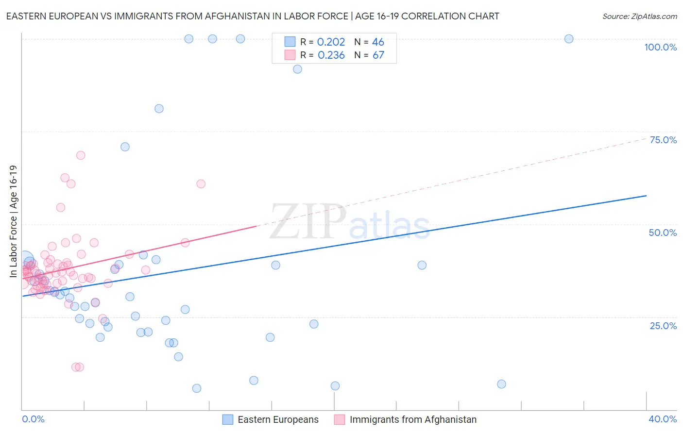 Eastern European vs Immigrants from Afghanistan In Labor Force | Age 16-19