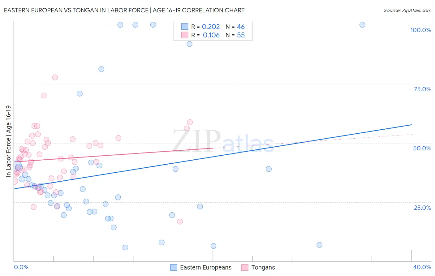 Eastern European vs Tongan In Labor Force | Age 16-19