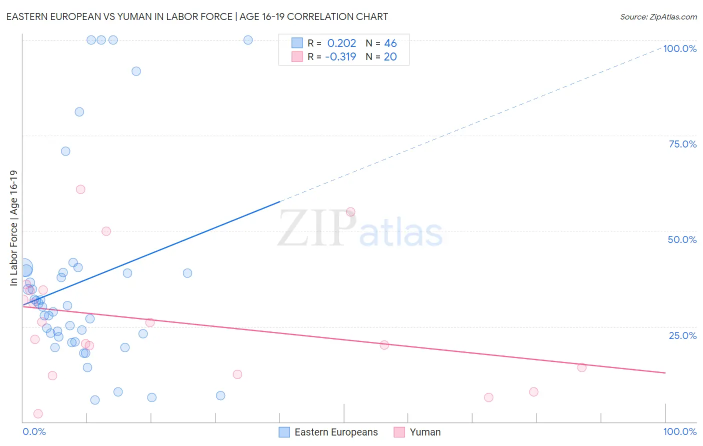 Eastern European vs Yuman In Labor Force | Age 16-19