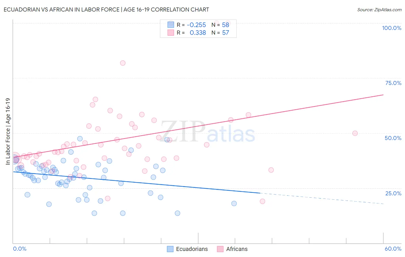 Ecuadorian vs African In Labor Force | Age 16-19