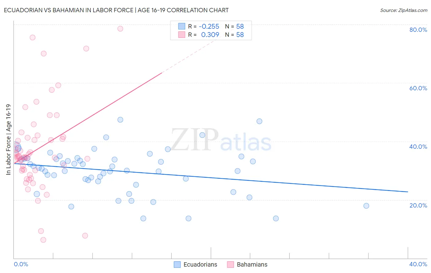 Ecuadorian vs Bahamian In Labor Force | Age 16-19