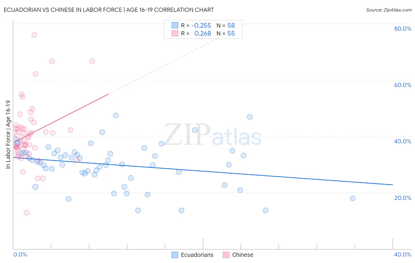 Ecuadorian vs Chinese In Labor Force | Age 16-19