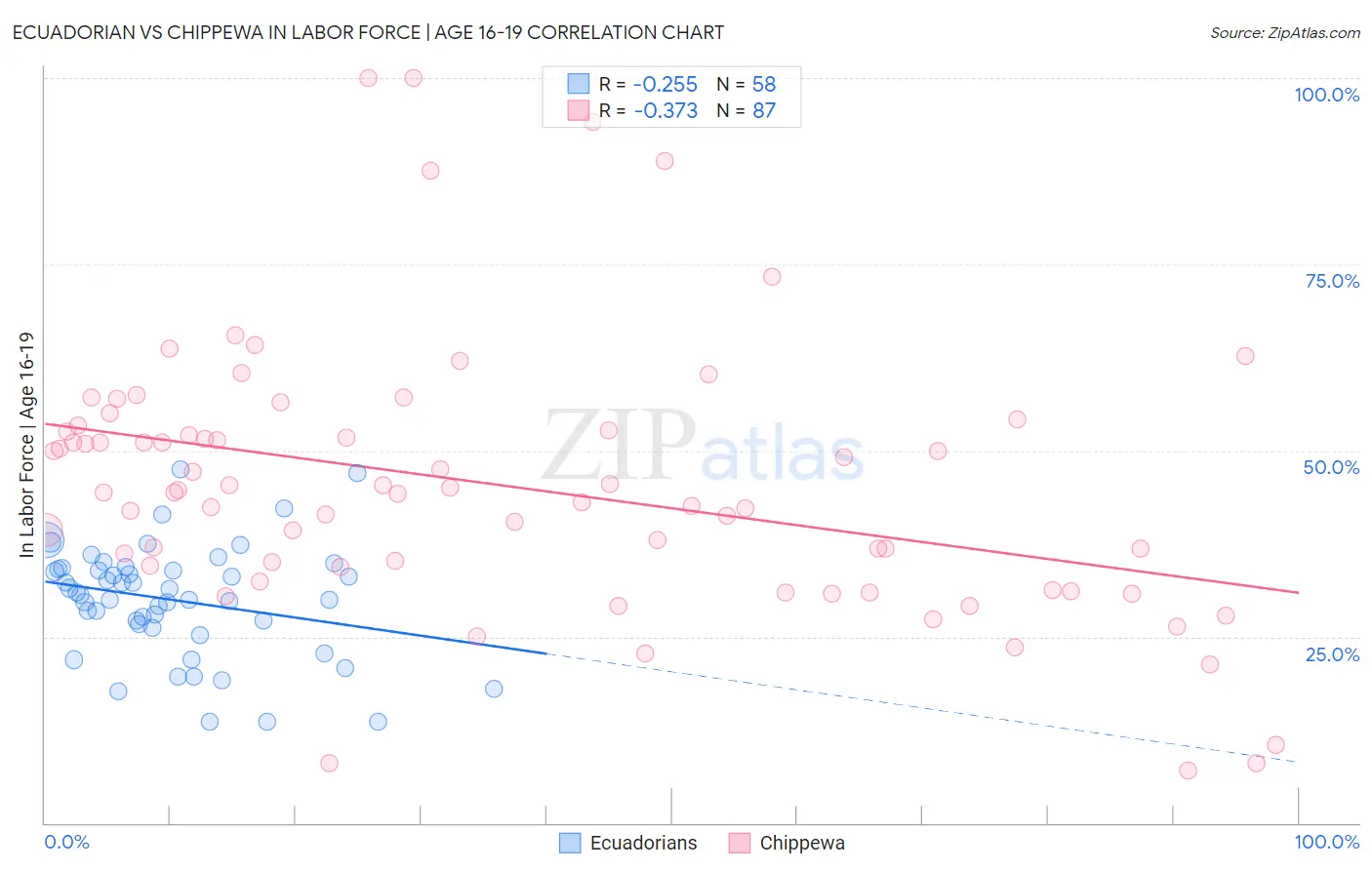 Ecuadorian vs Chippewa In Labor Force | Age 16-19