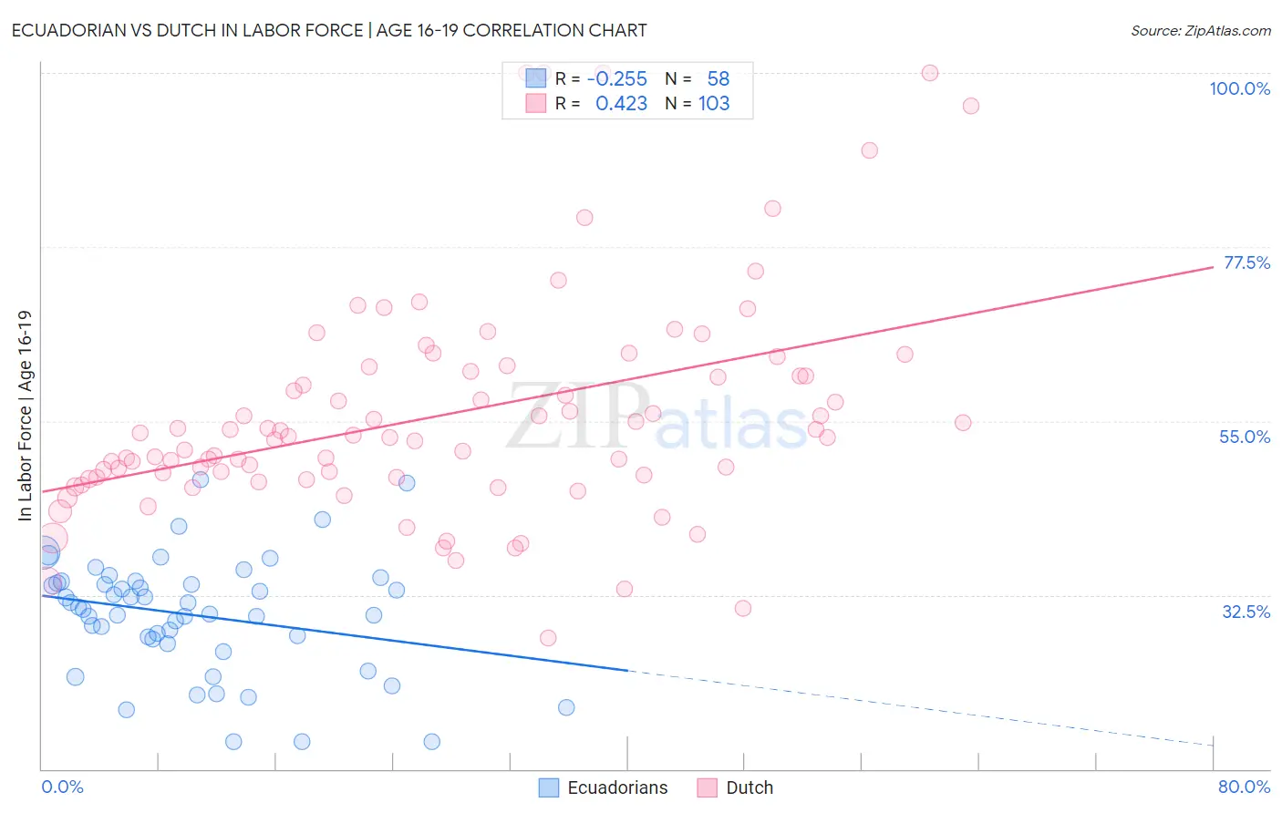 Ecuadorian vs Dutch In Labor Force | Age 16-19