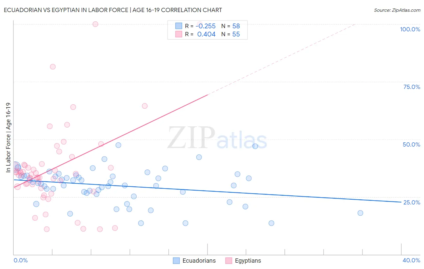 Ecuadorian vs Egyptian In Labor Force | Age 16-19