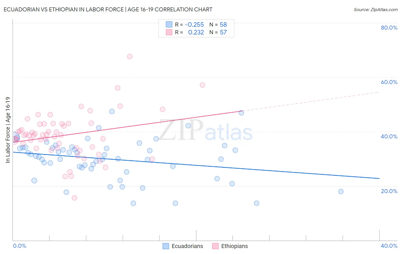 Ecuadorian vs Ethiopian In Labor Force | Age 16-19