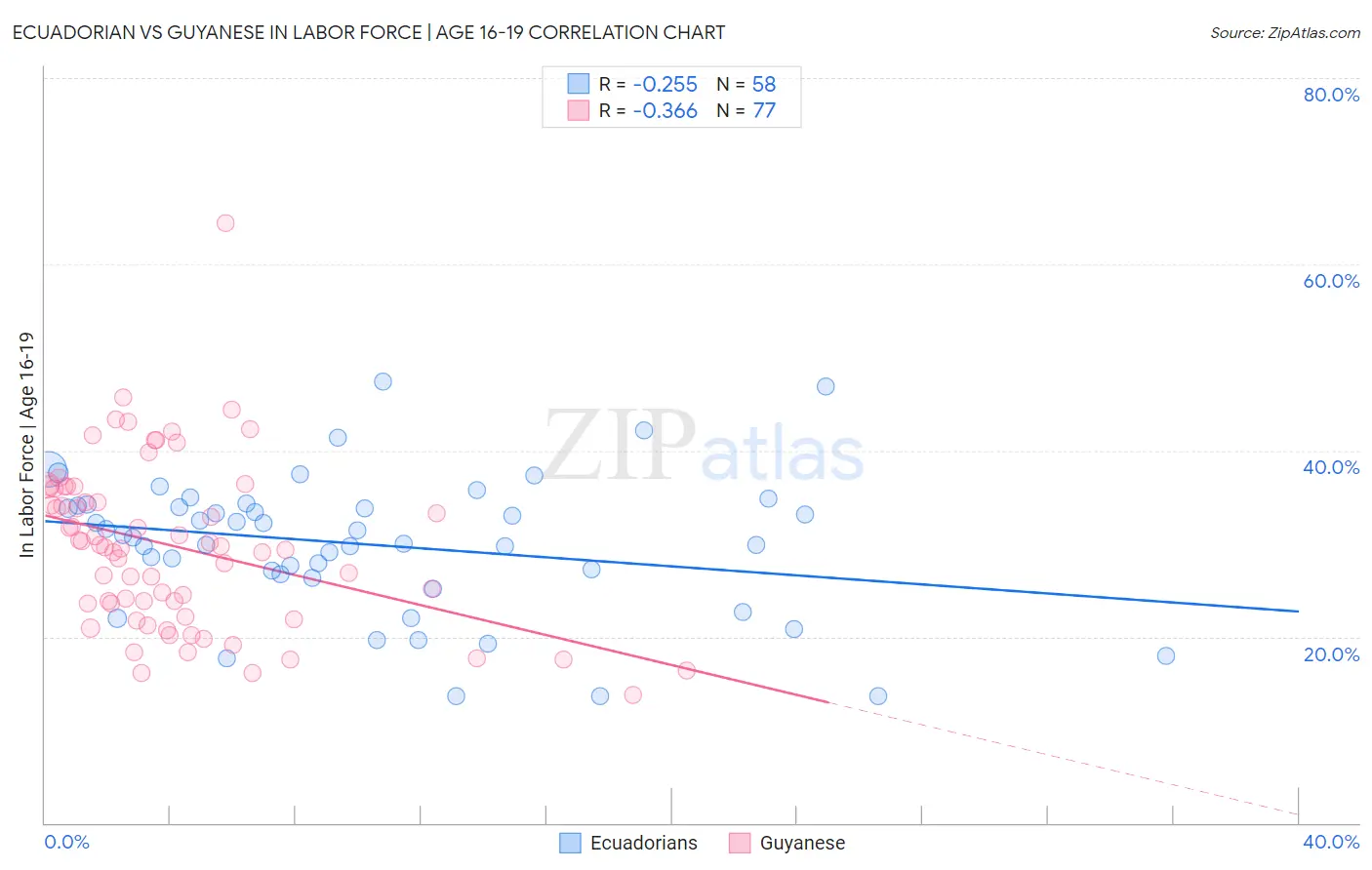 Ecuadorian vs Guyanese In Labor Force | Age 16-19