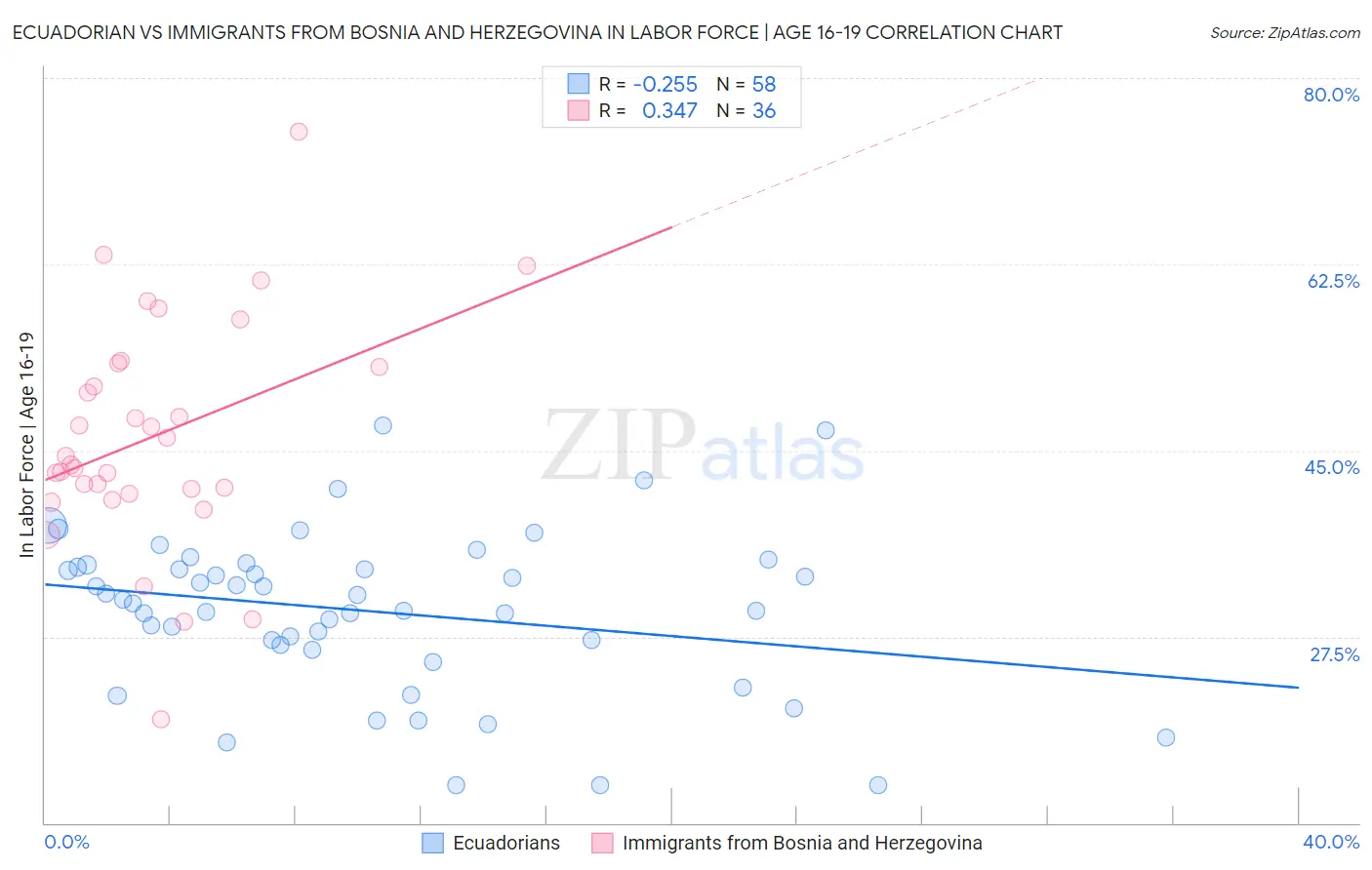 Ecuadorian vs Immigrants from Bosnia and Herzegovina In Labor Force | Age 16-19