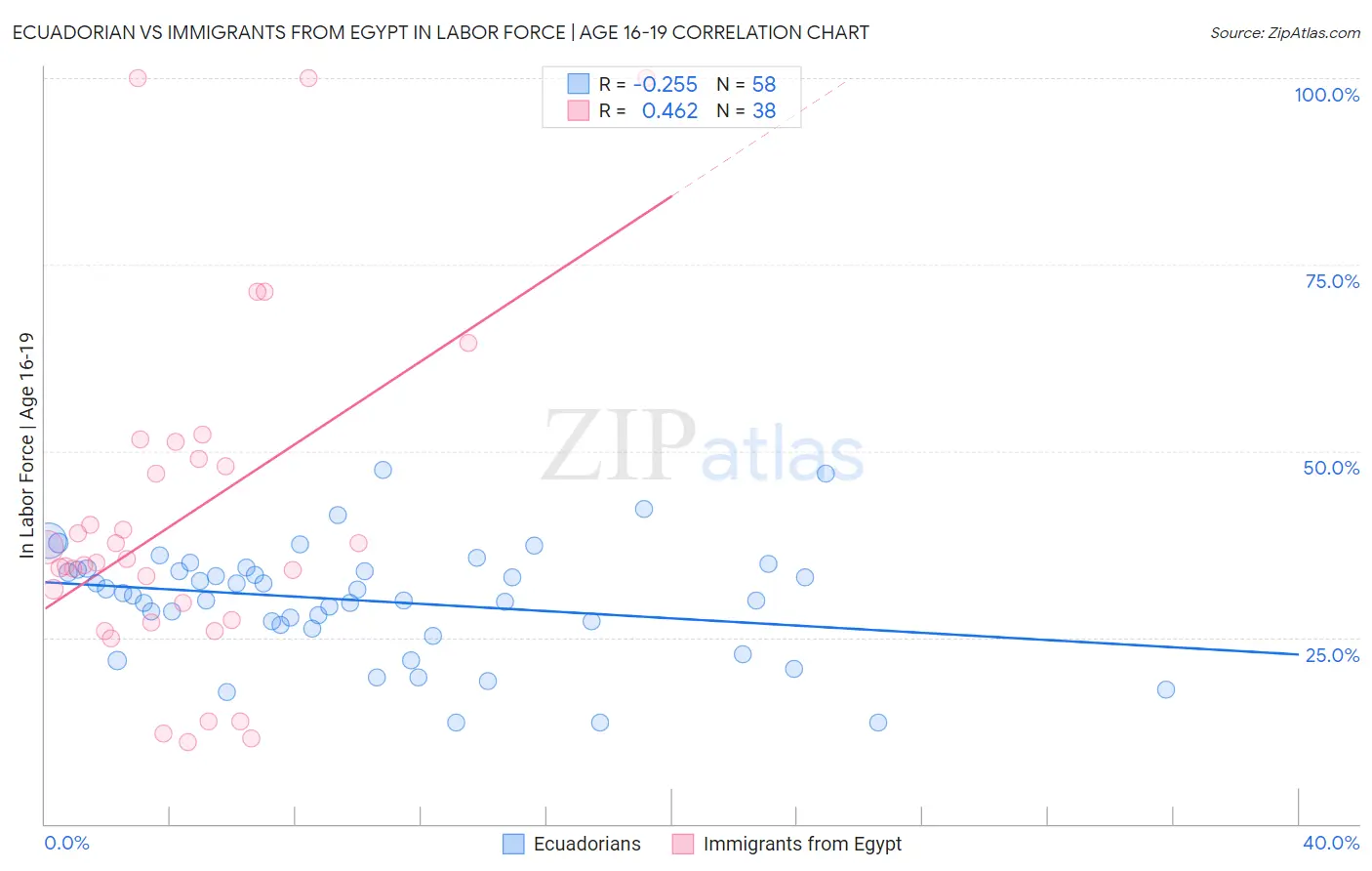 Ecuadorian vs Immigrants from Egypt In Labor Force | Age 16-19