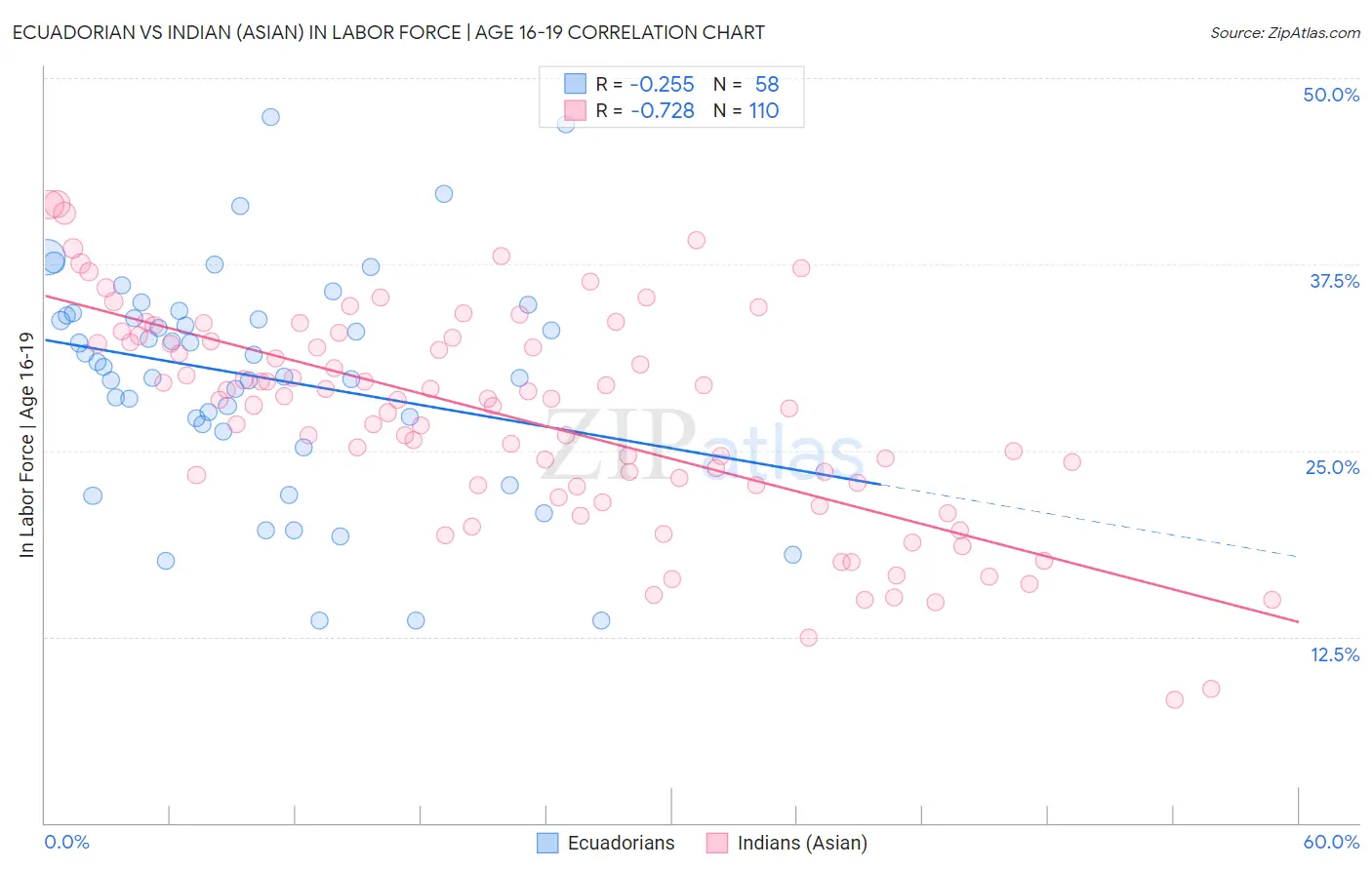 Ecuadorian vs Indian (Asian) In Labor Force | Age 16-19