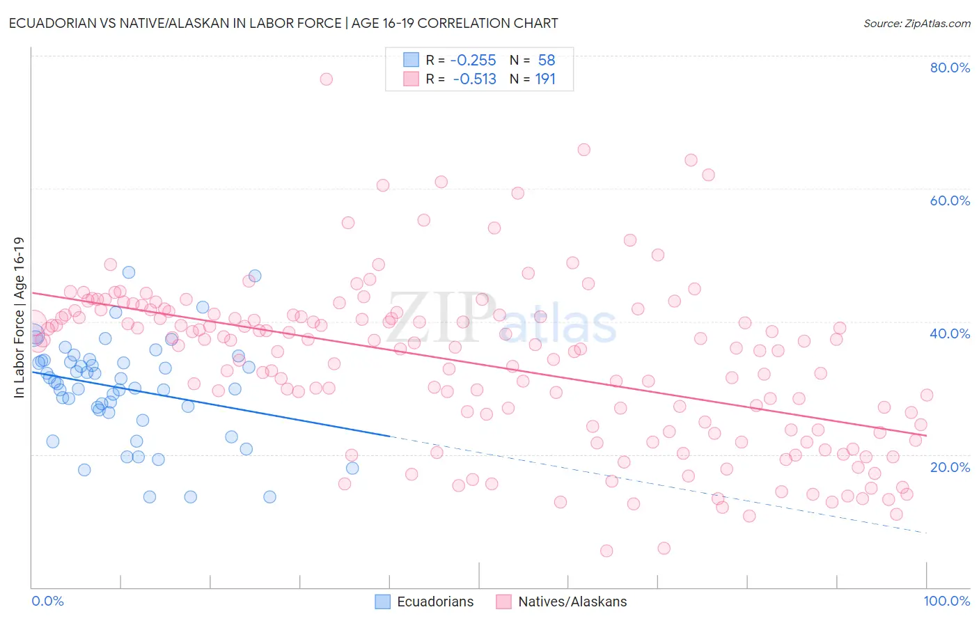 Ecuadorian vs Native/Alaskan In Labor Force | Age 16-19