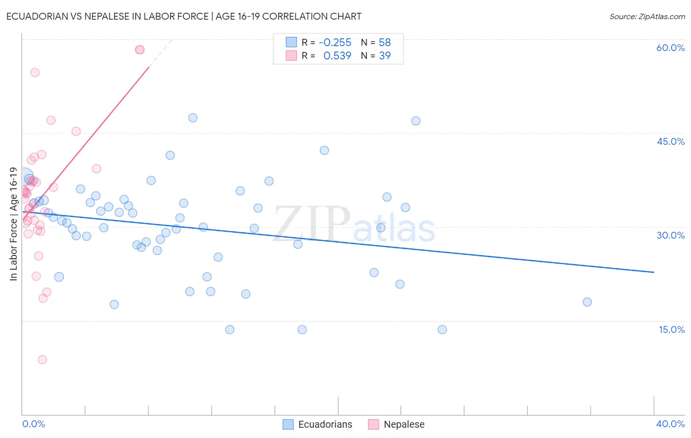 Ecuadorian vs Nepalese In Labor Force | Age 16-19