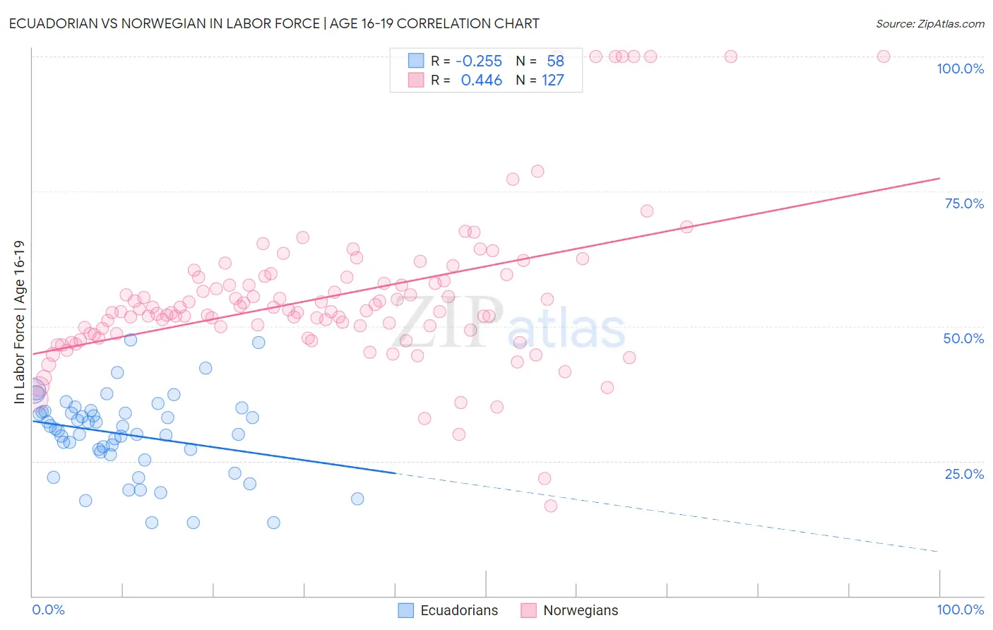 Ecuadorian vs Norwegian In Labor Force | Age 16-19