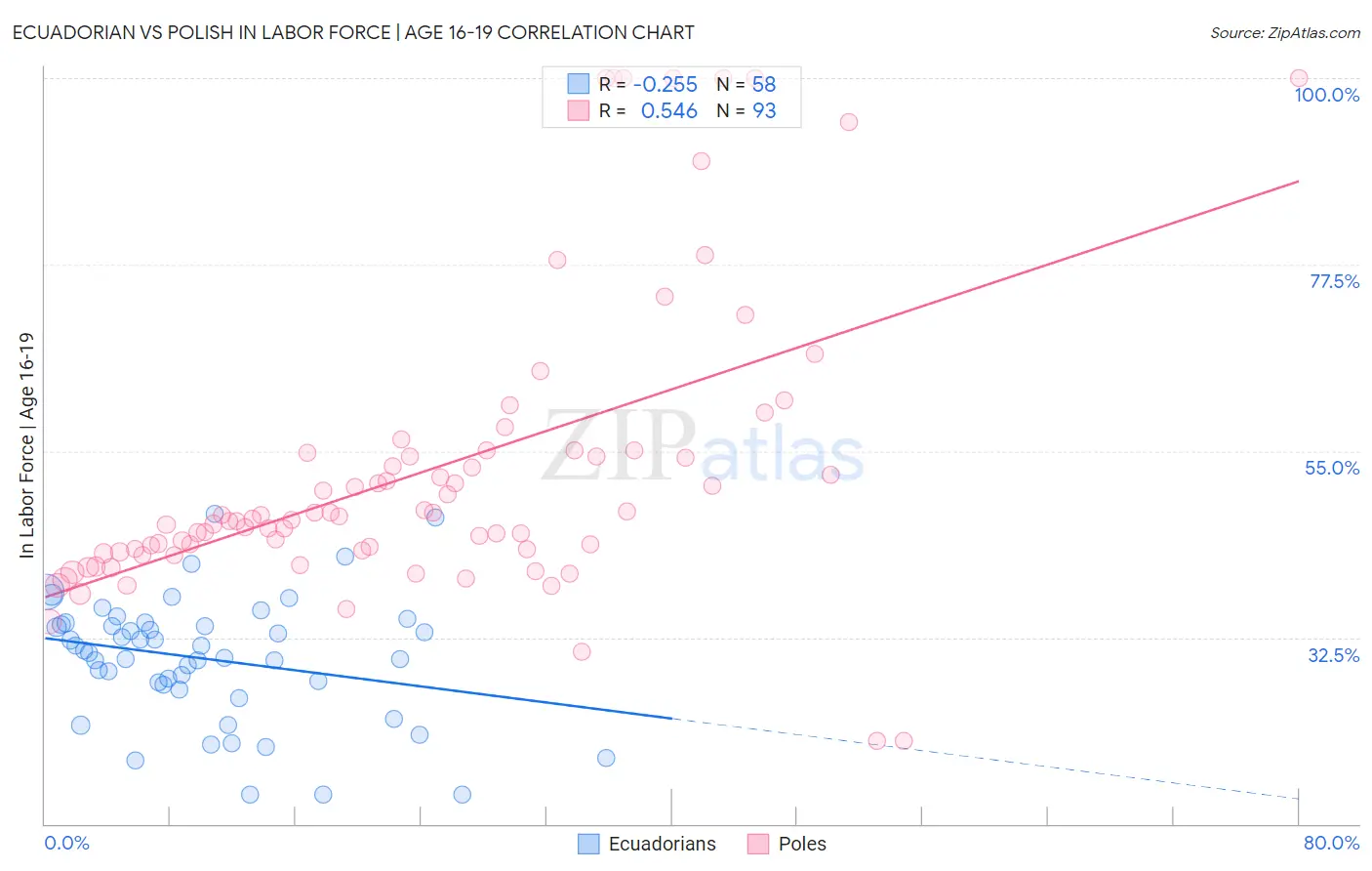 Ecuadorian vs Polish In Labor Force | Age 16-19