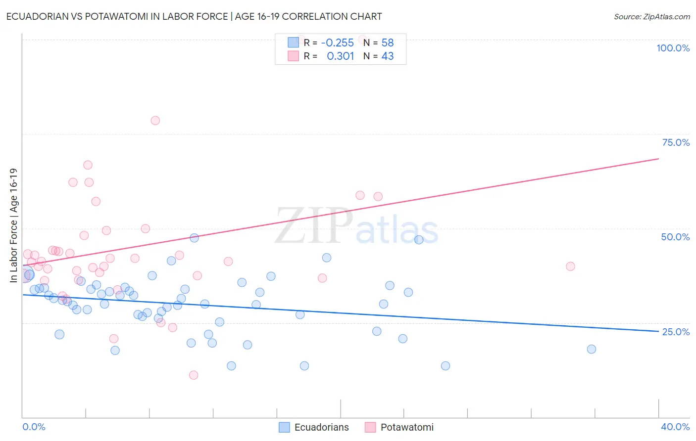 Ecuadorian vs Potawatomi In Labor Force | Age 16-19