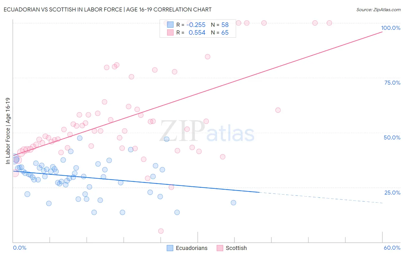 Ecuadorian vs Scottish In Labor Force | Age 16-19