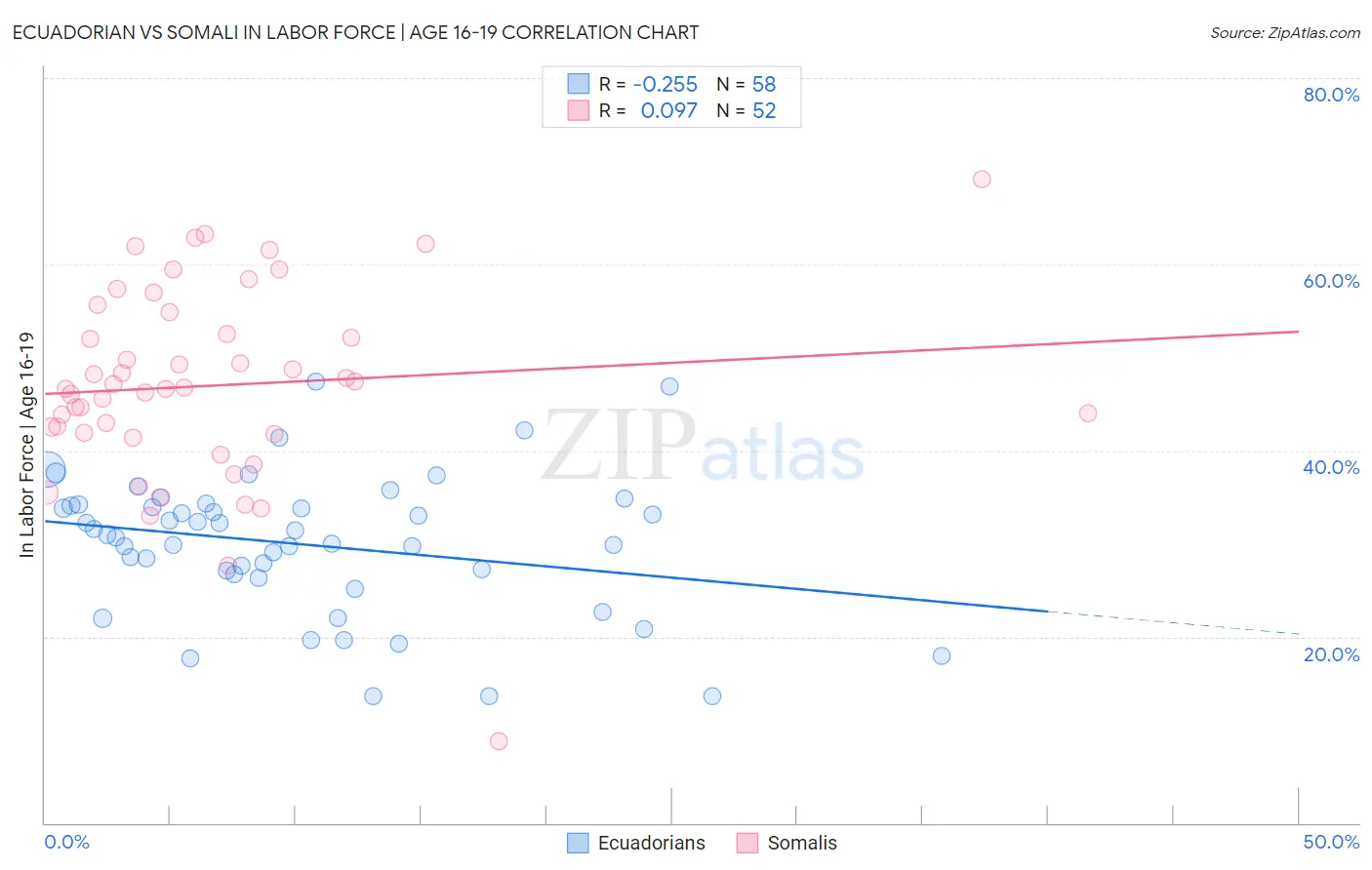 Ecuadorian vs Somali In Labor Force | Age 16-19
