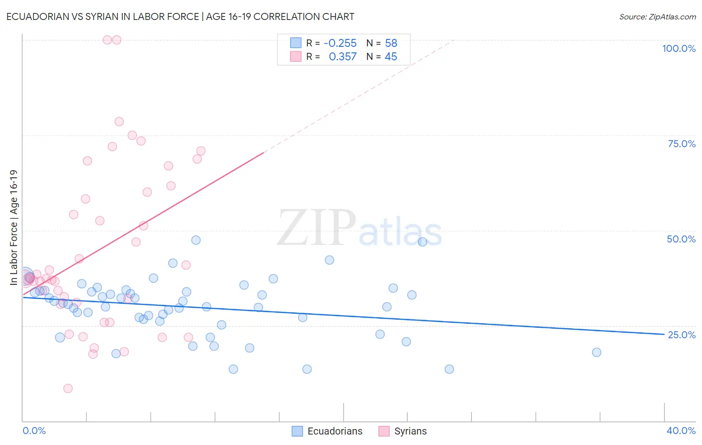 Ecuadorian vs Syrian In Labor Force | Age 16-19
